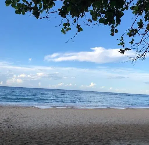 Peace Of Mind- Serenity Palm