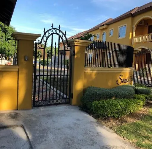 Peace Of Mind- Serenity Palm Apartment