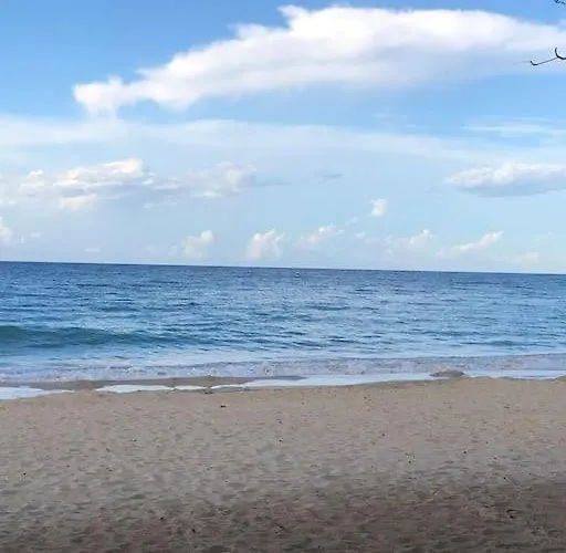 Peace Of Mind- Serenity Palm Runaway Bay
