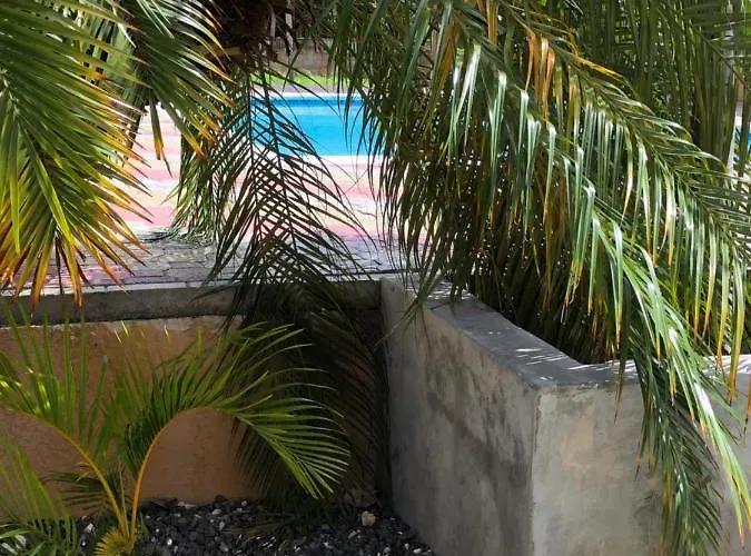 Peace Of Mind- Serenity Palm Runaway Bay
